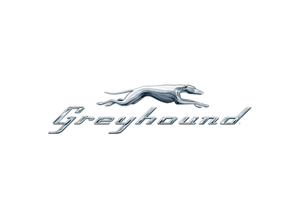 Greyhound
