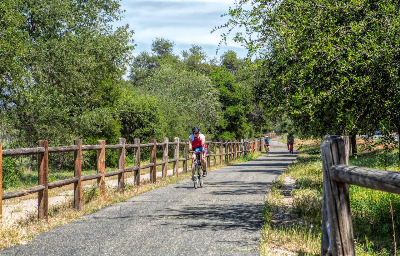 Cyclist on path