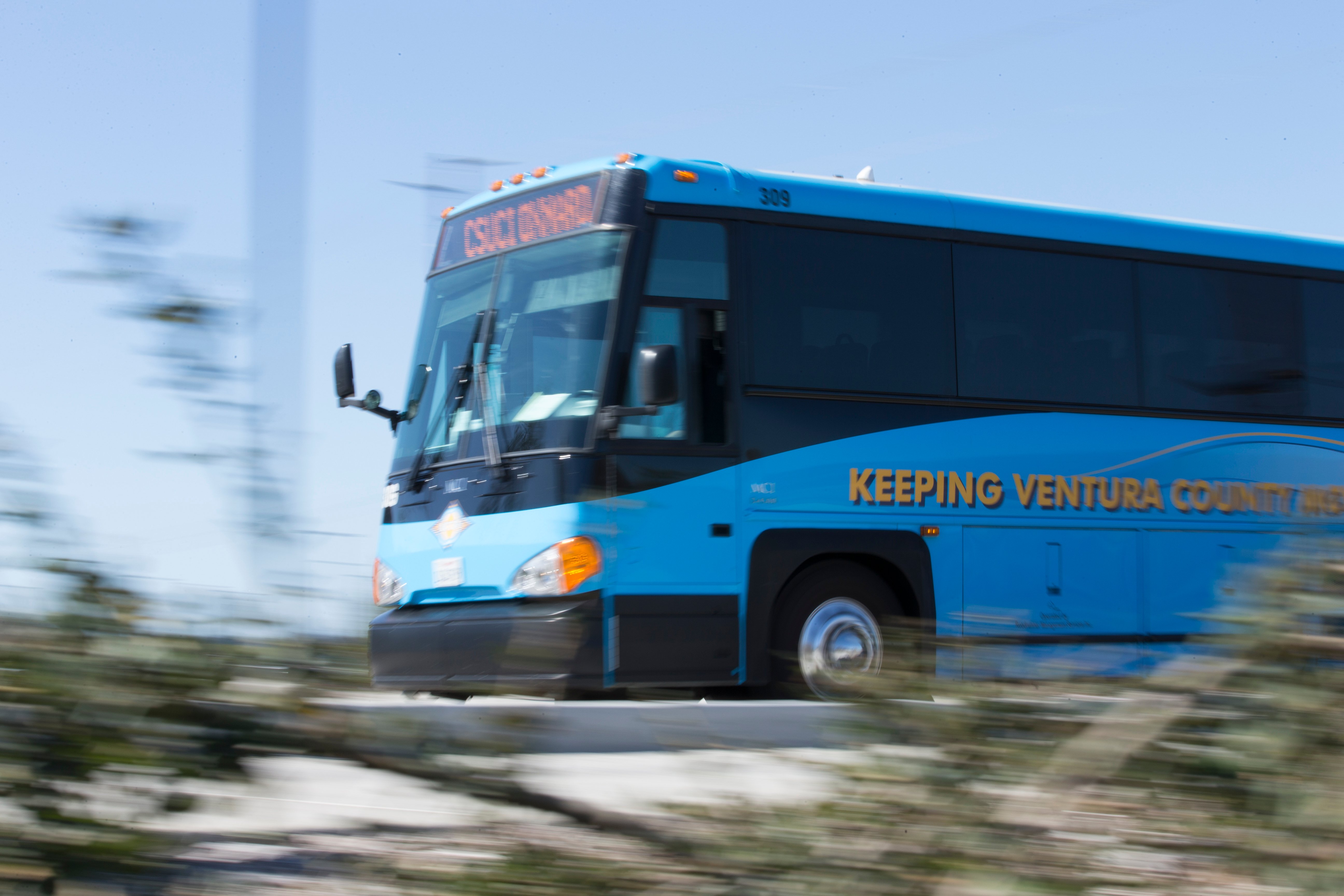 Bus driving on road