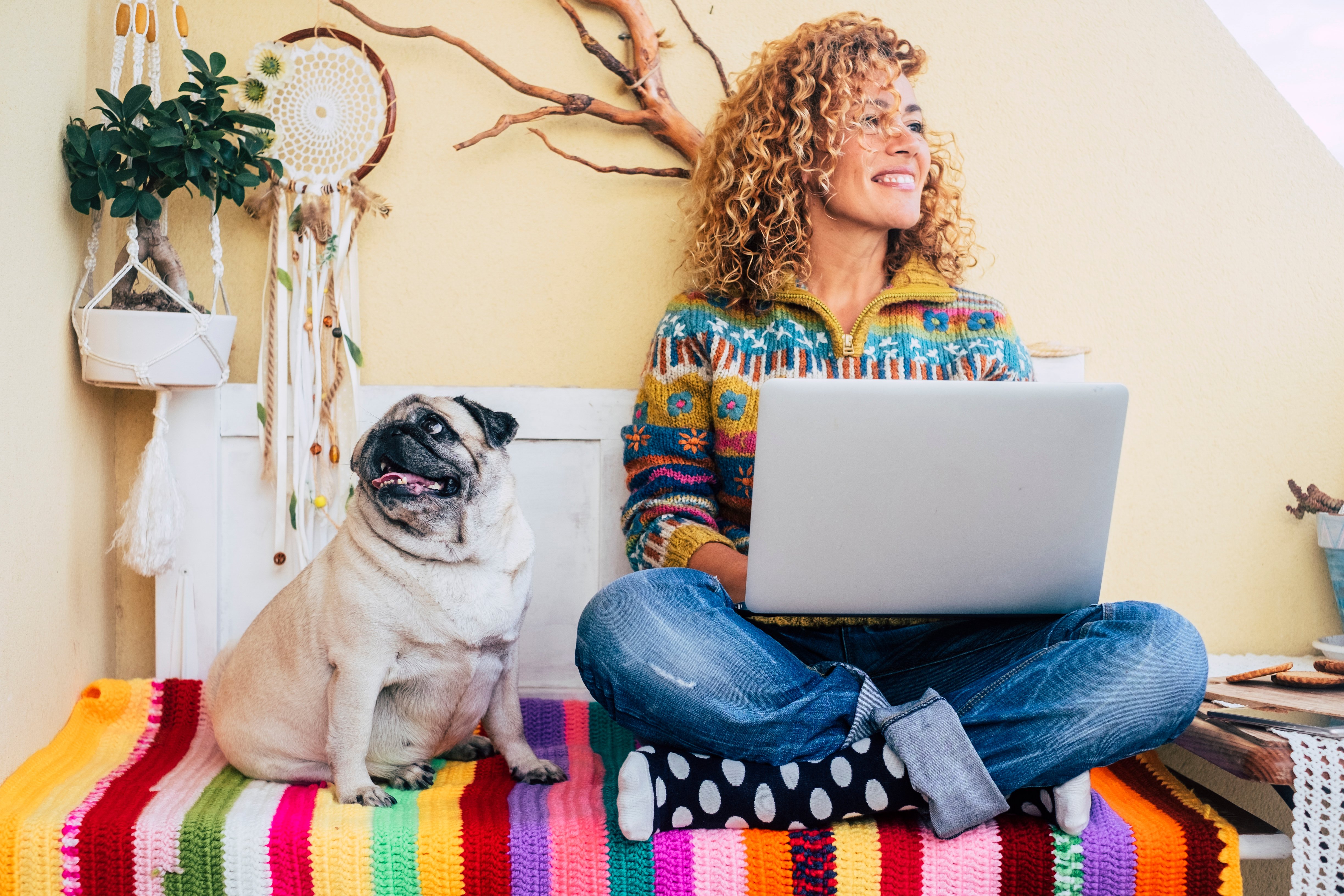 A woman with curly hair working on a laptop with her pug dog indoors, cozy home office setting.