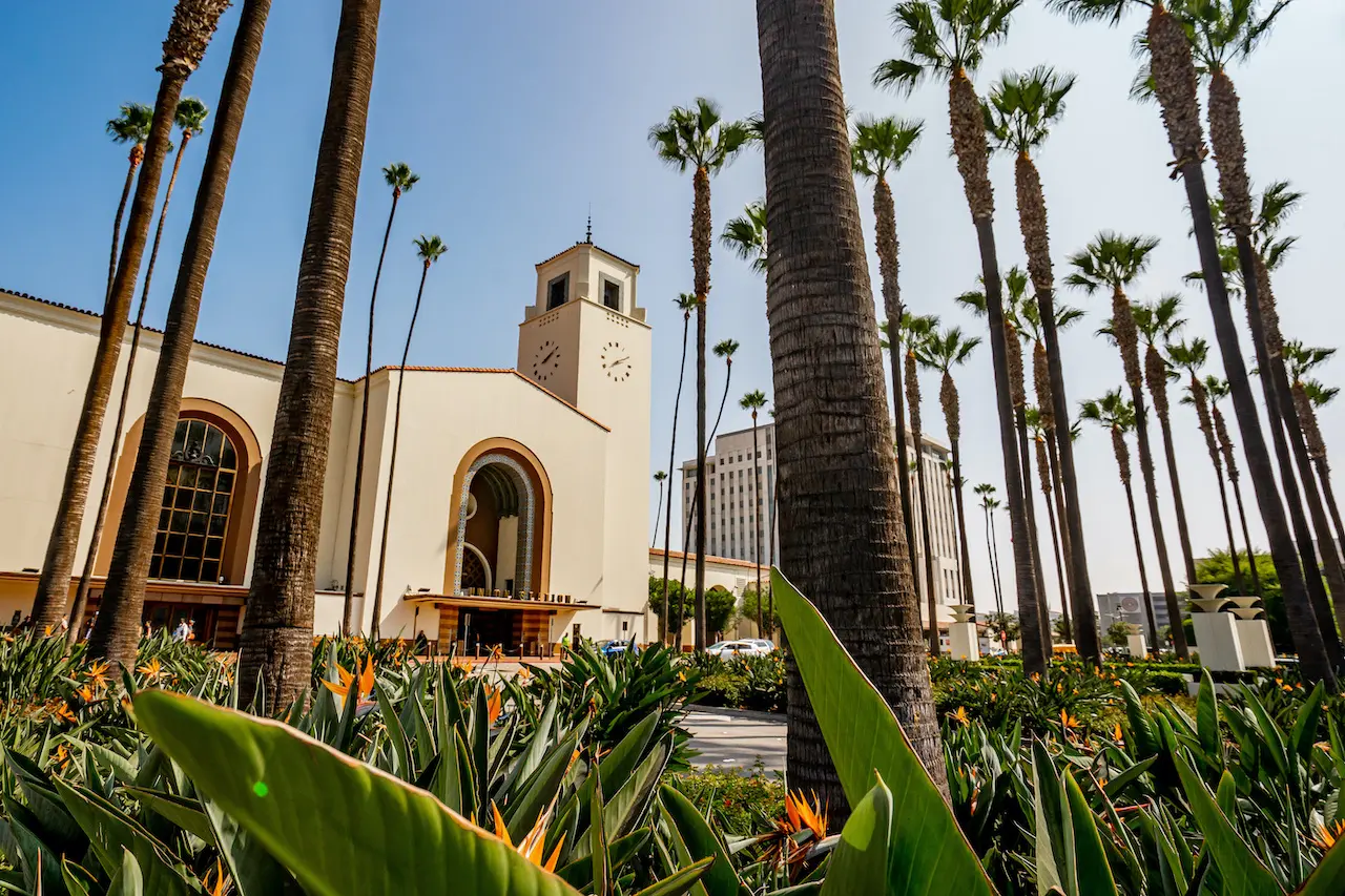 A lush garden with tall palm trees and a historic clock tower building in Ventura, California.