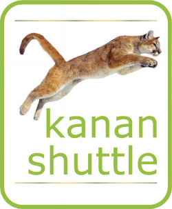 A sleek, agile cat jumping in mid-air for optimal agility and focus.