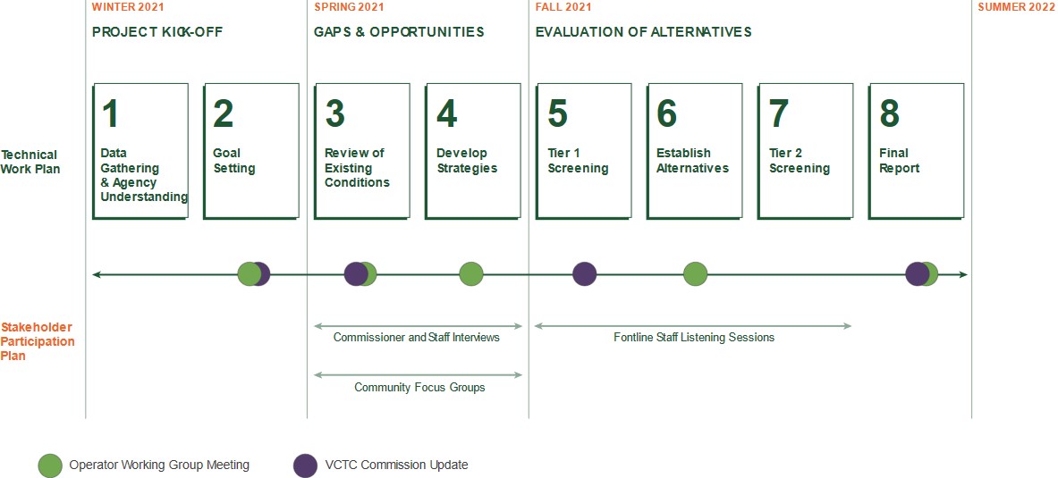 TIES Project Milestones Graphic