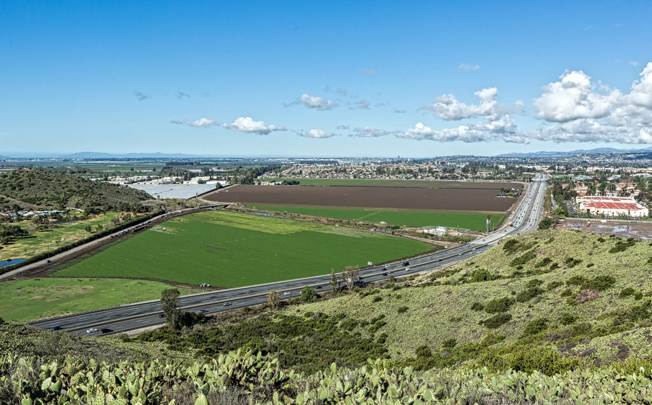 A lush green landscape with a highway and distant city skyline under a blue sky.