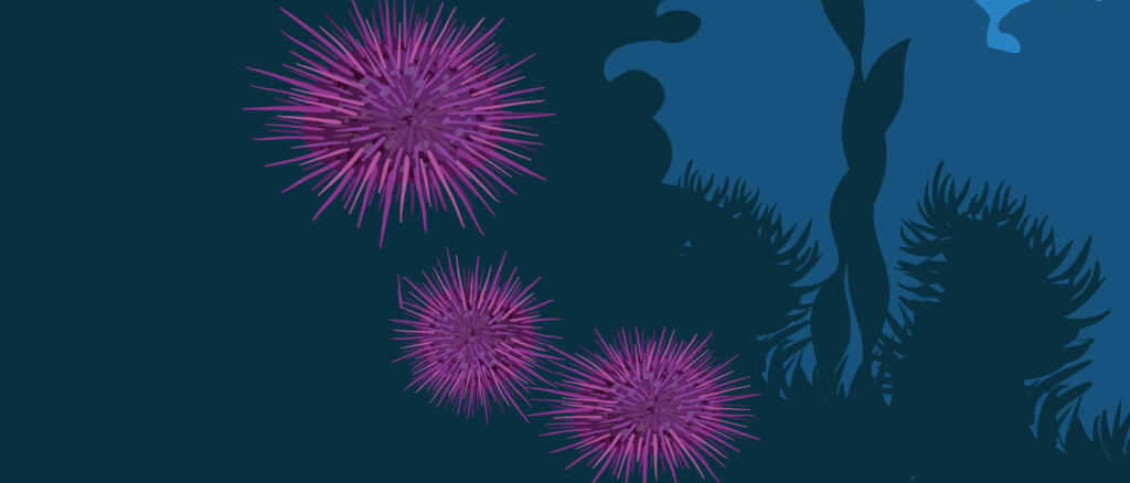 Fireworks display over a dark sky with colorful bursts and silhouettes of trees.