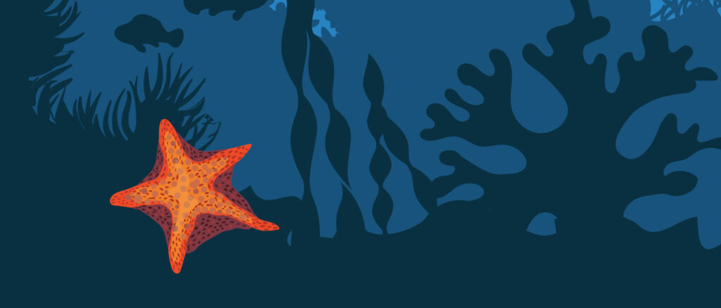 A vibrant starfish on an underwater coral reef scene with sea plants.