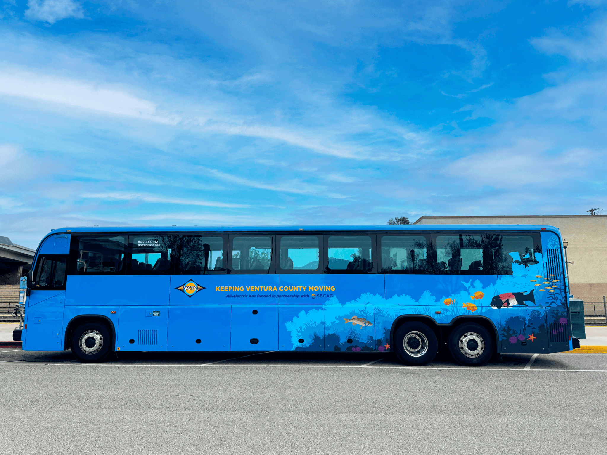Blue VCTC bus with ocean and fish graphics, GoVentura logo.